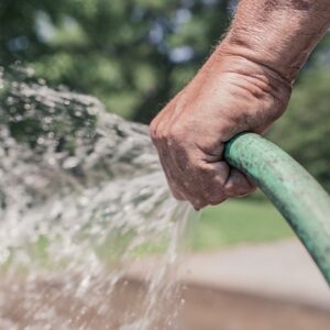 From Seed to Wellness: The Transformative Power of Gardening on Your Mind and Body